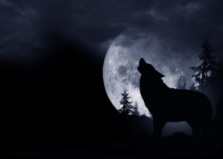 Φεγγάρι του Λύκου