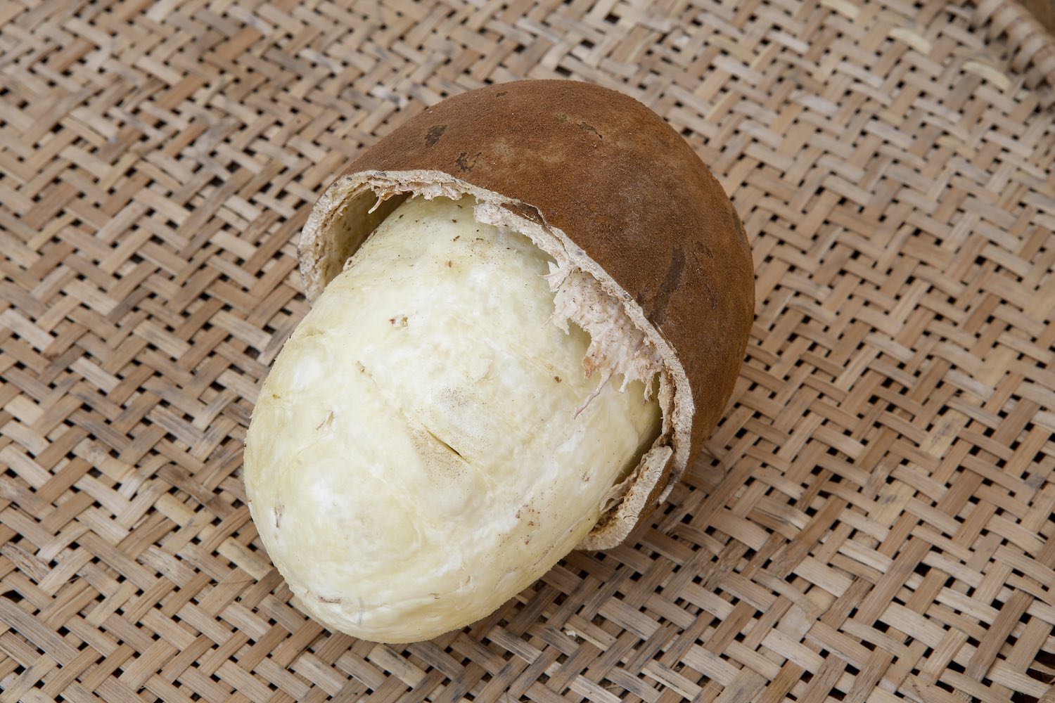 Cupuacu fruit