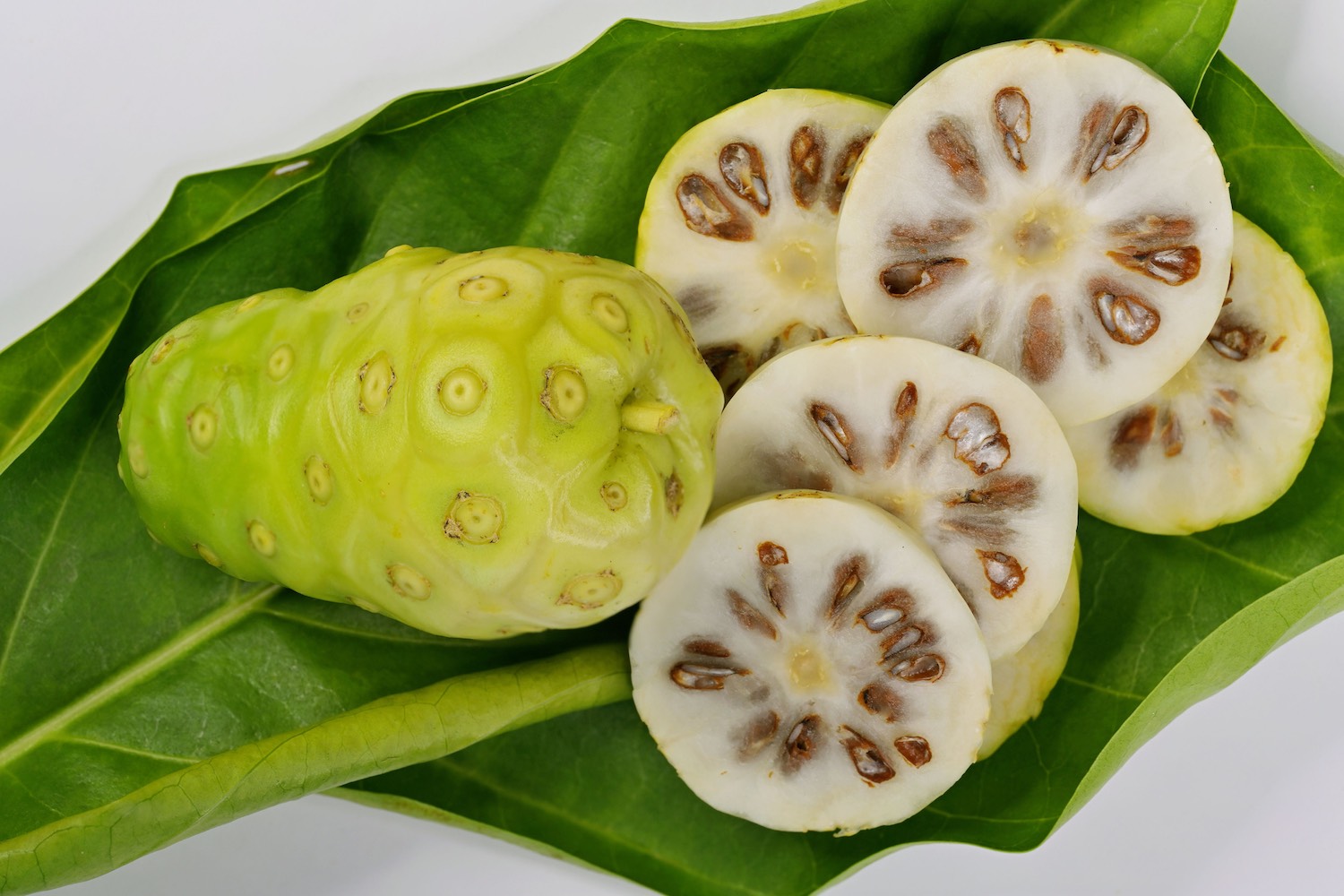 Noni Fruit