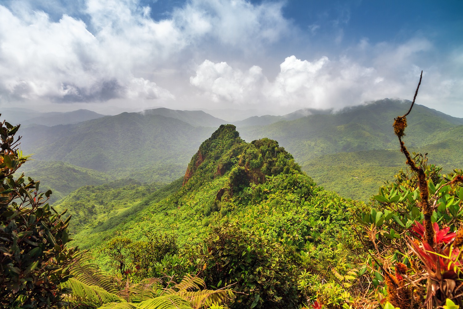 Εθνικός Δρυμός El Yunque, Πουέρτο Ρίκο