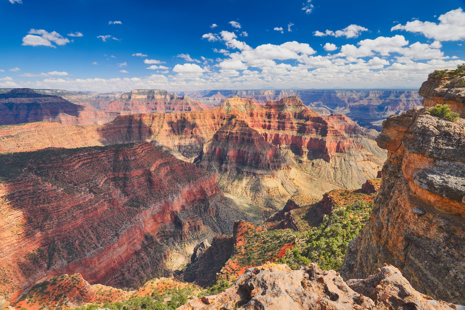 Grand Canyon