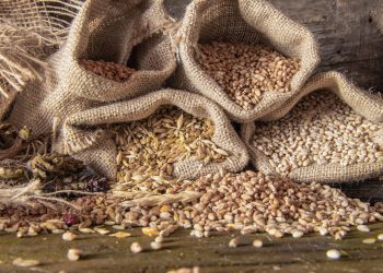 αγαπημένοι σπόροι και η ιστορία τους