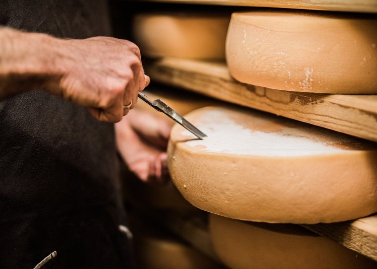 Το μέλλον της παραγωγής τυριού