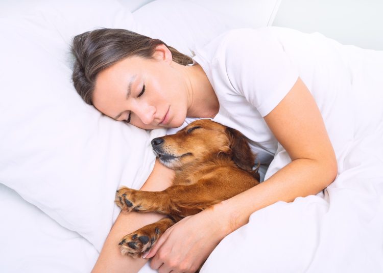 Είναι καλό να κοιμάστε με το σκυλί σας στο κρεβάτι;