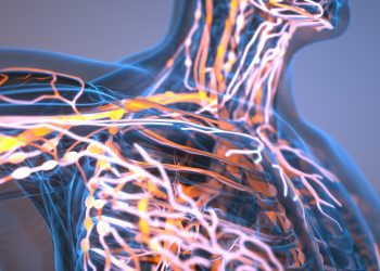 Το οικοσύστημα του ανθρώπινου σώματος