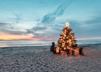 χριστουγεννιάτικο δέντρο στην παραλία