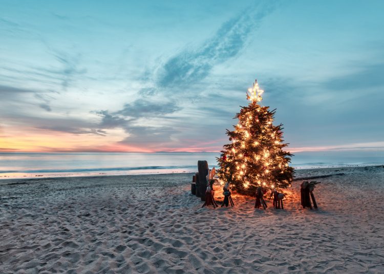 χριστουγεννιάτικο δέντρο στην παραλία