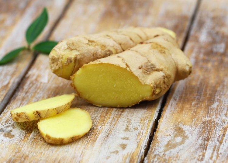 ρίζες ginger