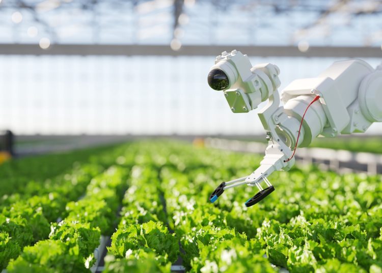 τεχνητή νοημοσύνη στη γεωργία
