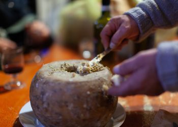 Casu marzu τυρί με σκουλήκια