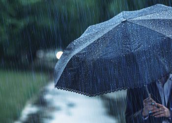 Μυρωδιά της βροχής