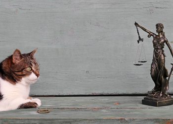 Όταν οι κοινωνίες δίκαζαν ζώα και έντομα