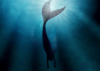 Ακολουθήστε καριέρα γοργόνας