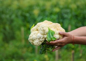 Ποιες τροφές είναι απαραίτητες για γυναίκες άνω των τριάντα;