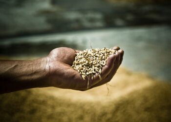 εργασιακή εκμετάλλευση