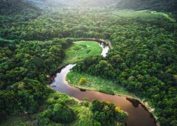 Brands και βιωσιμότητα