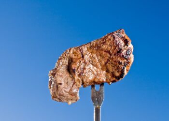 Οι κίνδυνοι της Carnivore Diet: Τι πρέπει να προσέξετε