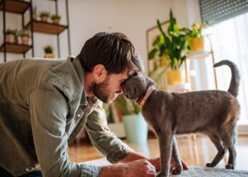 Με ποιους τρόπους σας δείχνει την αγάπη της η γάτα σας;