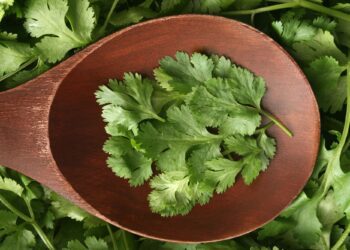 Γιατί ο κόλιανδρος έχει γεύση σαπουνιού σε μερικούς ανθρώπους;
