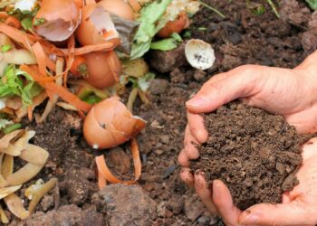 Πώς να κομποστοποιήσετε: Ένας εύκολος DIY οδηγός