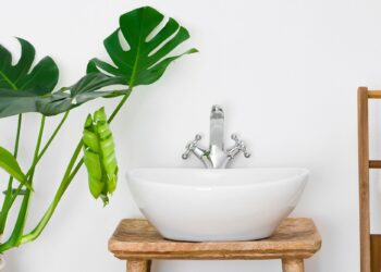 Το φυτό που αγαπά το μπάνιο και δεν θέλει φροντίδα