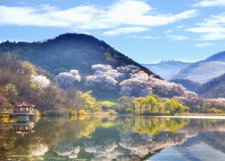 Η μικροχώρα που δημιούργησε ένας 20χρονος στο Δούναβη