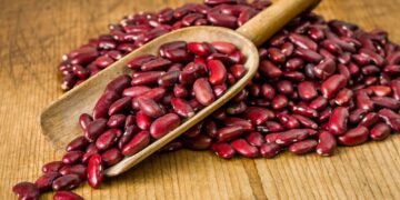 Κόκκινα φασόλια: Γιατί θεωρούνται διατροφικός θησαυρός;