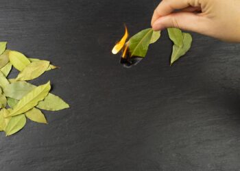 Μπορεί ένα μυρωδικό να κάνει τις κατσαρίδες να το βάλουν στα πόδια;