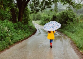Γιατί η γη μυρίζει διαφορετικά μετά τη βροχή;