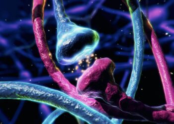 Τα κρυμμένα μυστικά του ανθρώπινου σώματος