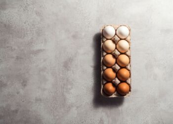 Μύθοι και αλήθειες για την Carnivore διατροφή