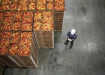 Το παράδοξο της αφθονίας