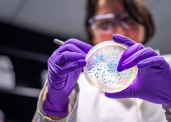 Βιοδείκτες και εξατομικευμένη θεραπεία καρκίνου