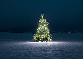 5 παράξενα facts για τα Χριστούγεννα