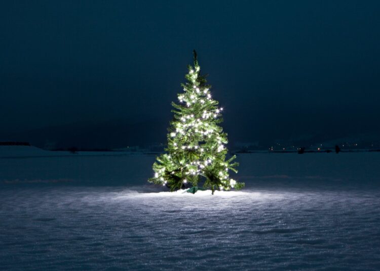 5 παράξενα facts για τα Χριστούγεννα