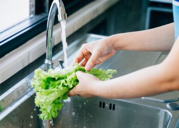 Ο σωστός τρόπος για να πλένετε το μαρούλι και να απομακρύνετε τα φυτοφάρμακα