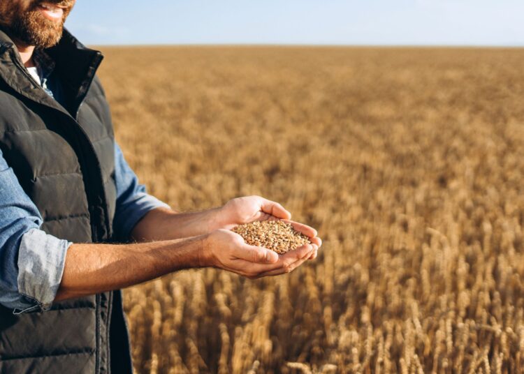 Οι καλύτερες φυτικές πηγές πρωτεΐνης