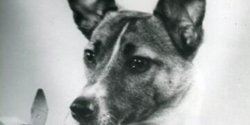 Λάικα: Το σκυλί που ταξίδεψε στο διάστημα