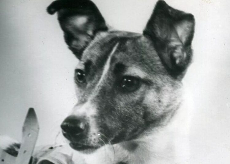 Λάικα: Το σκυλί που ταξίδεψε στο διάστημα