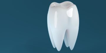 Μπορεί ένα δόντι να ξαναφυτρώσει;