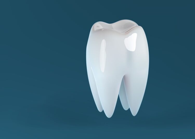 Μπορεί ένα δόντι να ξαναφυτρώσει;