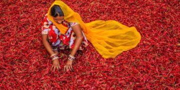 Ο ρόλος της διατροφής στην πολιτιστική ταυτότητα