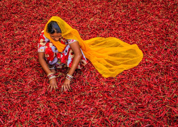 Ο ρόλος της διατροφής στην πολιτιστική ταυτότητα