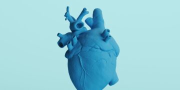 Πώς επηρεάζεται η καρδιά μας από το στρες;