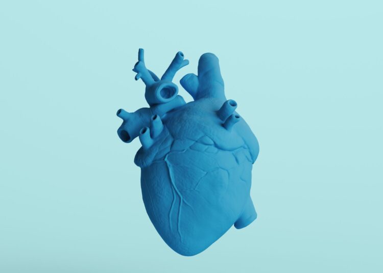 Πώς επηρεάζεται η καρδιά μας από το στρες;