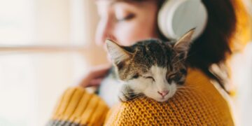 Πώς μας δείχνει η γάτα μας ότι χρειάζεται προσοχή;