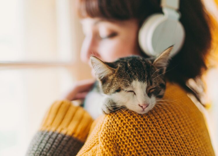 Πώς μας δείχνει η γάτα μας ότι χρειάζεται προσοχή;