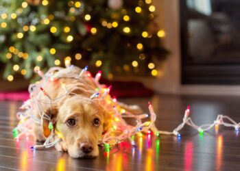 Πώς θα καταπολεμήσουμε τη μελαγχολία των γιορτών;