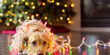 Πώς θα καταπολεμήσουμε τη μελαγχολία των γιορτών;