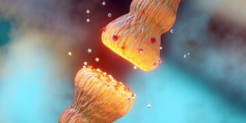 Σεροτονίνη: Πώς θα ενισχύσετε την ορμόνη της ευτυχίας;